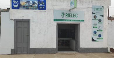 Rielec - Punto Blue Express