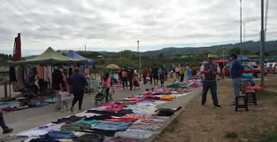 Feria sabado ciudad de valdivia